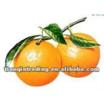 Sweet Navel Orange fournisseur